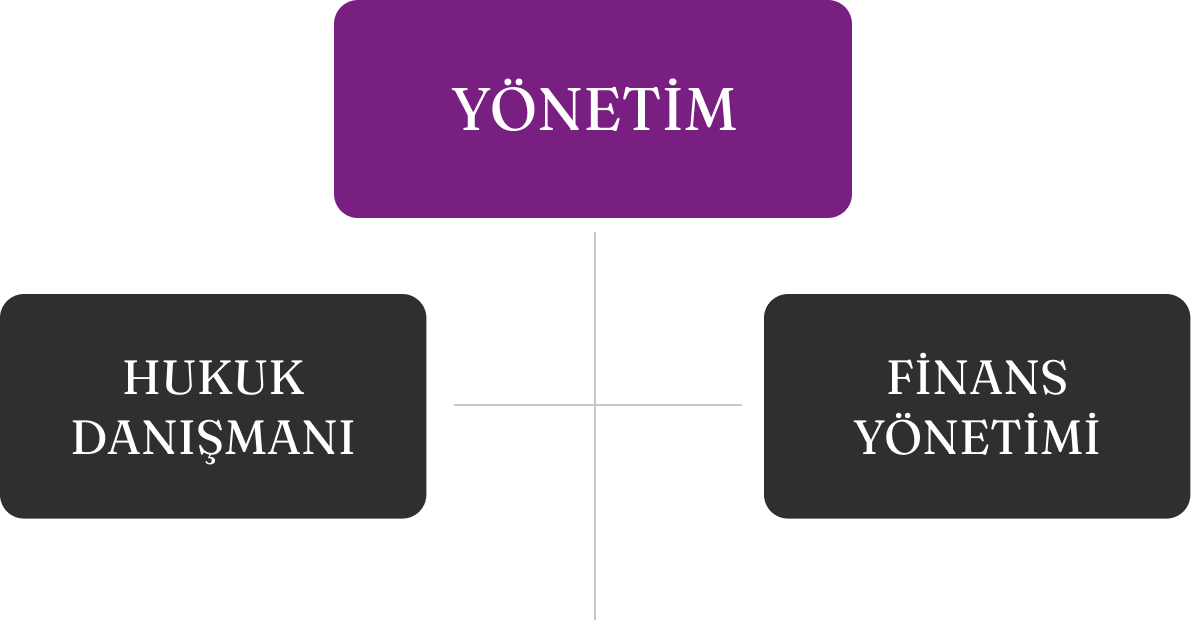 Yönetim ve Organizasyon Yapısı